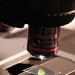 Group logo of Biotech and Life Sciences